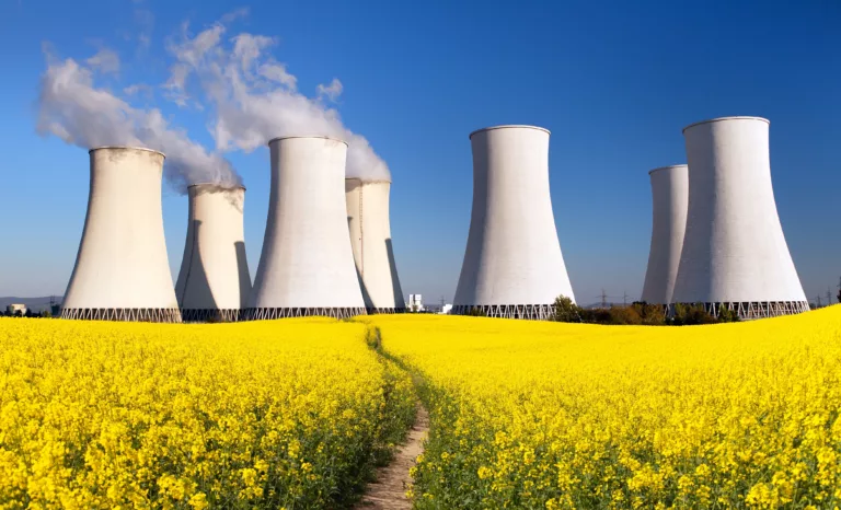 Atomkraftwerk in grüner Idylle