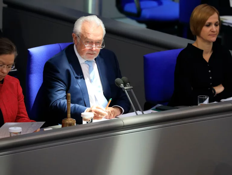 Wolfgang Kubicki im Bundestag