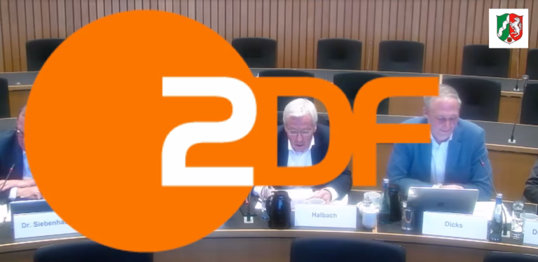 ZDF in der Kritik